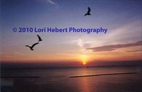 All images © Lori Hebert Photography LLC.  All rights reserved.
