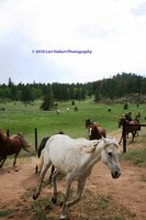 Sundance Trail Ranch